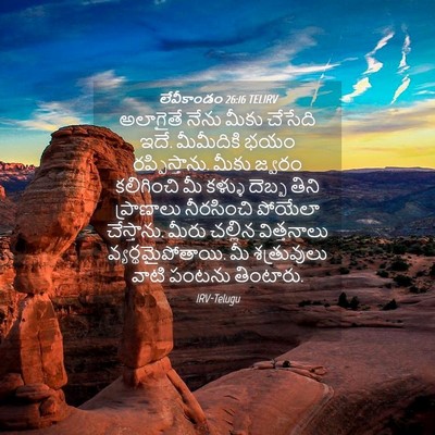 Picture 04 - లేవీకాండం 26:16 TELIRV - అలాగైతే నేను మీకు - Bible Verse Picture