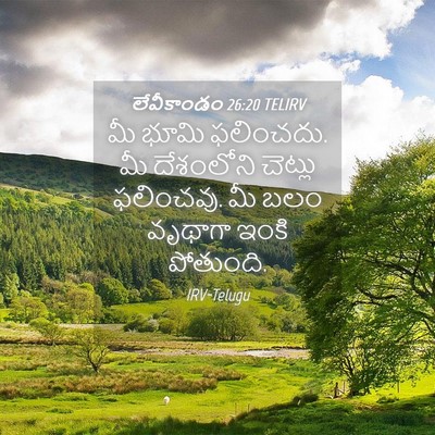 Picture 04 - లేవీకాండం 26:20 TELIRV - మీ భూమి ఫలించదు. మీ - Bible Verse Picture