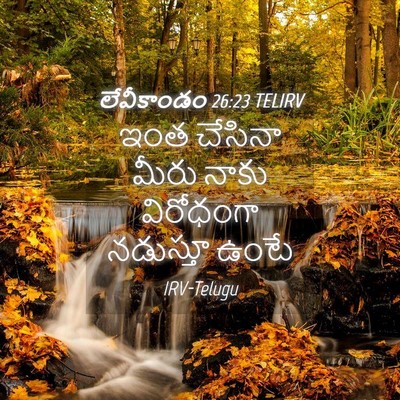 Picture 04 - లేవీకాండం 26:23 TELIRV - ఇంత చేసినా మీరు - Bible Verse Picture