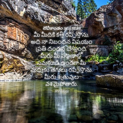 Picture 04 - లేవీకాండం 26:25 TELIRV - మీ మీదికి కత్తి - Bible Verse Picture