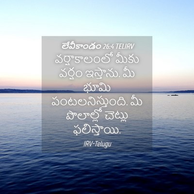 Picture 04 - లేవీకాండం 26:4 TELIRV - వర్షాకాలంలో మీకు - Bible Verse Picture