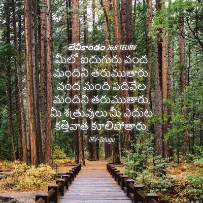 Picture 04 - లేవీకాండం 26:8 TELIRV - మీలో ఐదుగురు వంద - Bible Verse Picture