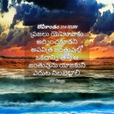 Picture 04 - లేవీకాండం 27:11 TELIRV - ప్రజలు యెహోవాకు - Bible Verse Picture