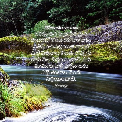 Picture 04 - లేవీకాండం 27:16 TELIRV - ఒకడు తన - Bible Verse Picture