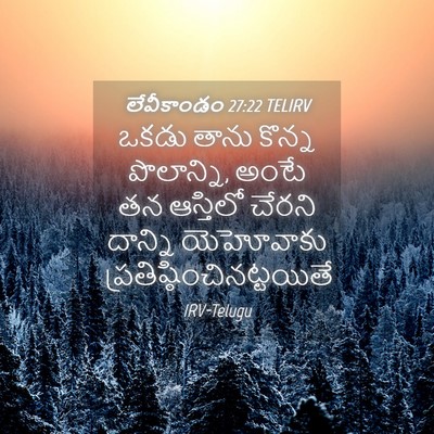 Picture 04 - లేవీకాండం 27:22 TELIRV - ఒకడు తాను కొన్న - Bible Verse Picture