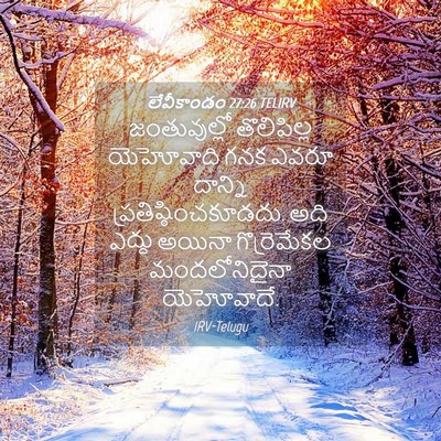 Picture 04 - లేవీకాండం 27:26 TELIRV - జంతువుల్లో - Bible Verse Picture