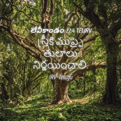 Picture 04 - లేవీకాండం 27:4 TELIRV - స్త్రీకి ముప్ఫై - Bible Verse Picture