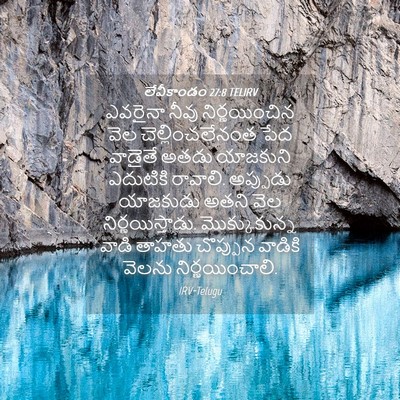Picture 04 - లేవీకాండం 27:8 TELIRV - ఎవరైనా నీవు - Bible Verse Picture