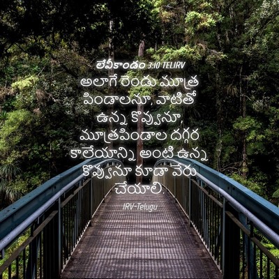 Picture 04 - లేవీకాండం 3:10 TELIRV - అలాగే రెండు మూత్ర - Bible Verse Picture