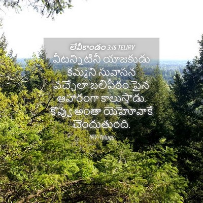 Picture 04 - లేవీకాండం 3:16 TELIRV - వీటన్నిటినీ - Bible Verse Picture