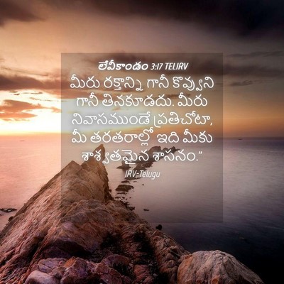 Picture 04 - లేవీకాండం 3:17 TELIRV - మీరు రక్తాన్ని - Bible Verse Picture