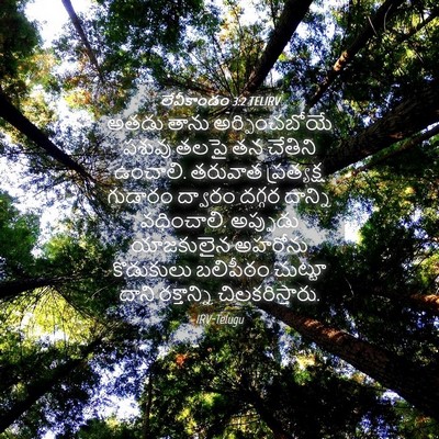 Picture 04 - లేవీకాండం 3:2 TELIRV - అతడు తాను - Bible Verse Picture