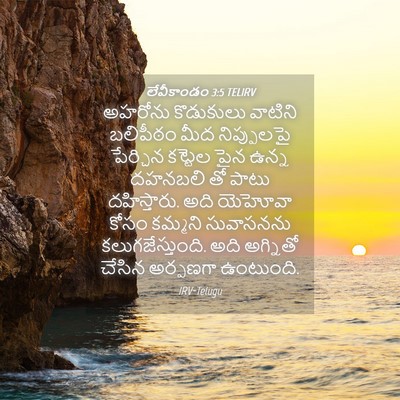 Picture 04 - లేవీకాండం 3:5 TELIRV - అహరోను కొడుకులు - Bible Verse Picture