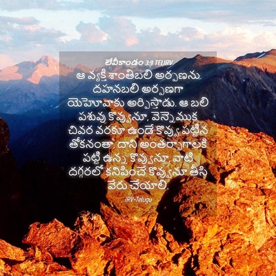 Picture 04 - లేవీకాండం 3:9 TELIRV - ఆ వ్యక్తి - Bible Verse Picture
