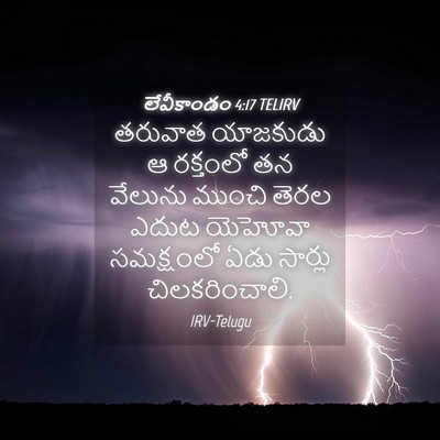 Picture 04 - లేవీకాండం 4:17 TELIRV - తరువాత యాజకుడు ఆ - Bible Verse Picture
