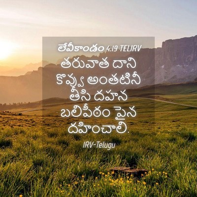 Picture 04 - లేవీకాండం 4:19 TELIRV - తరువాత దాని - Bible Verse Picture