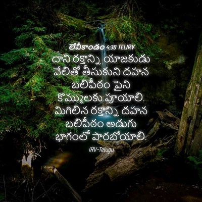 Picture 04 - లేవీకాండం 4:30 TELIRV - దాని రక్తాన్ని - Bible Verse Picture