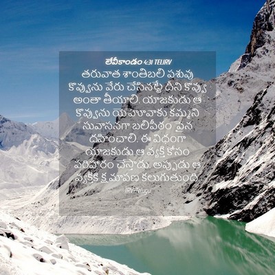 Picture 04 - లేవీకాండం 4:31 TELIRV - తరువాత శాంతిబలి - Bible Verse Picture