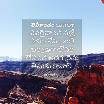 Picture 04 - లేవీకాండం 4:32 TELIRV - ఎవరైనా ఒక వ్యక్తి - Bible Verse Picture