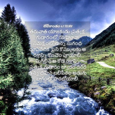 Picture 04 - లేవీకాండం 4:7 TELIRV - తరువాత యాజకుడు - Bible Verse Picture