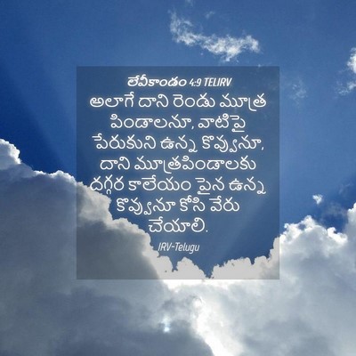 Picture 04 - లేవీకాండం 4:9 TELIRV - అలాగే దాని రెండు - Bible Verse Picture