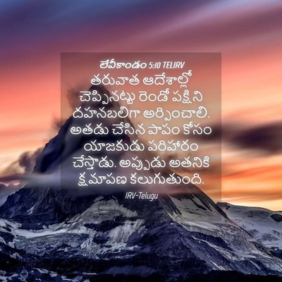 Picture 04 - లేవీకాండం 5:10 TELIRV - తరువాత ఆదేశాల్లో - Bible Verse Picture