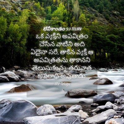 Picture 04 - లేవీకాండం 5:3 TELIRV - ఒక వ్యక్తిని - Bible Verse Picture