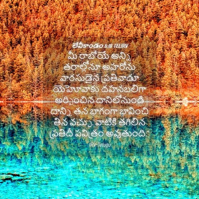 Picture 04 - లేవీకాండం 6:18 TELIRV - మీ రాబోయే అన్ని - Bible Verse Picture