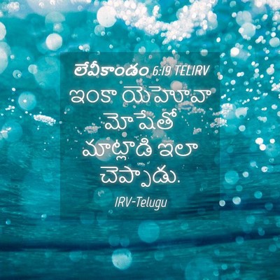 Picture 04 - లేవీకాండం 6:19 TELIRV - ఇంకా యెహోవా - Bible Verse Picture