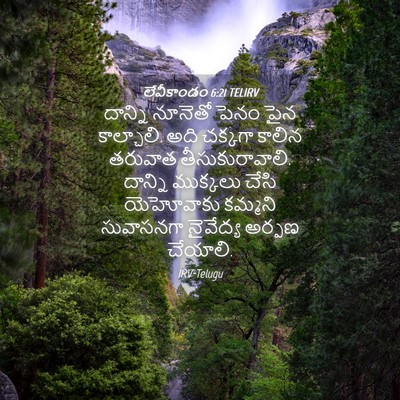 Picture 04 - లేవీకాండం 6:21 TELIRV - దాన్ని నూనెతో - Bible Verse Picture