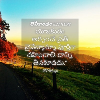 Picture 04 - లేవీకాండం 6:23 TELIRV - యాజకుడు అర్పించే - Bible Verse Picture