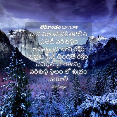 Picture 04 - లేవీకాండం 6:27 TELIRV - దాని మాంసానికి - Bible Verse Picture