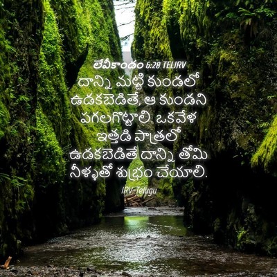 Picture 04 - లేవీకాండం 6:28 TELIRV - దాన్ని మట్టి - Bible Verse Picture