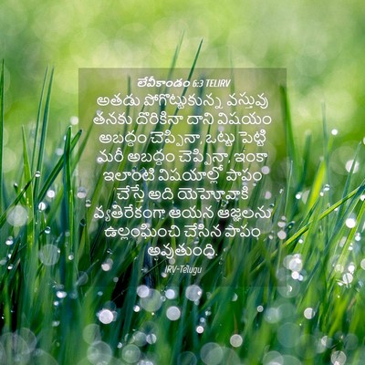 Picture 04 - లేవీకాండం 6:3 TELIRV - అతడు - Bible Verse Picture