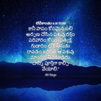 Picture 04 - లేవీకాండం 6:30 TELIRV - కానీ పాపం కోసమైన - Bible Verse Picture