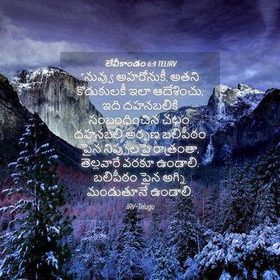 Picture 04 - లేవీకాండం 6:9 TELIRV - “నువ్వు అహరోనుకీ, - Bible Verse Picture