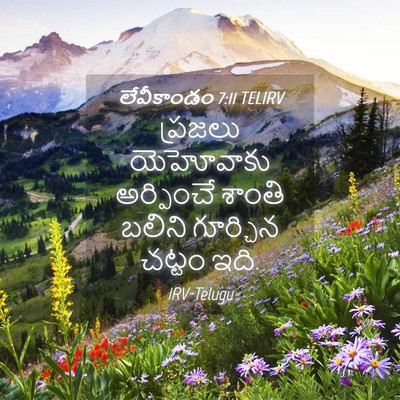 Picture 04 - లేవీకాండం 7:11 TELIRV - ప్రజలు యెహోవాకు - Bible Verse Picture