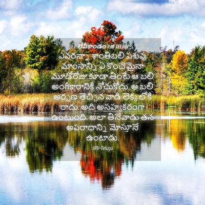 Picture 04 - లేవీకాండం 7:18 TELIRV - ఎవరన్నా శాంతిబలి - Bible Verse Picture