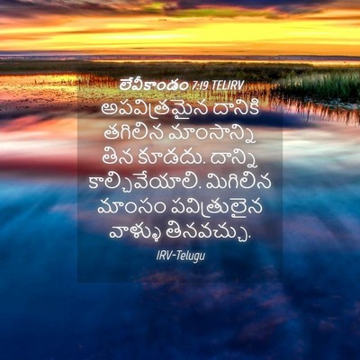 Picture 04 - లేవీకాండం 7:19 TELIRV - అపవిత్రమైన దానికి - Bible Verse Picture