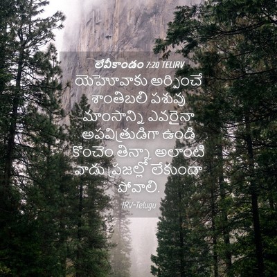 Picture 04 - లేవీకాండం 7:20 TELIRV - యెహోవాకు అర్పించే - Bible Verse Picture