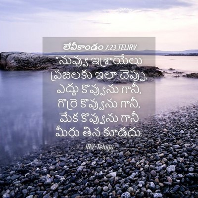 Picture 04 - లేవీకాండం 7:23 TELIRV - “నువ్వు ఇశ్రాయేలు - Bible Verse Picture
