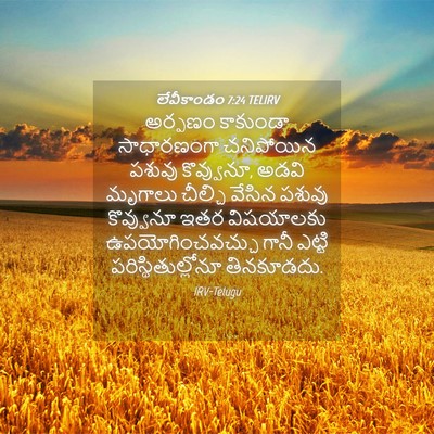 Picture 04 - లేవీకాండం 7:24 TELIRV - అర్పణం కాకుండా - Bible Verse Picture