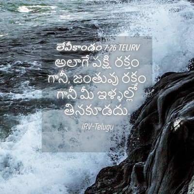 Picture 04 - లేవీకాండం 7:26 TELIRV - అలాగే పక్షి రక్తం - Bible Verse Picture