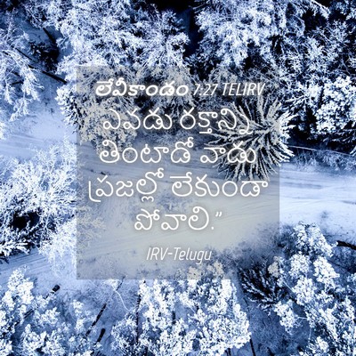 Picture 04 - లేవీకాండం 7:27 TELIRV - ఎవడు రక్తాన్ని - Bible Verse Picture