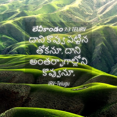 Picture 04 - లేవీకాండం 7:3 TELIRV - దాని కొవ్వు - Bible Verse Picture