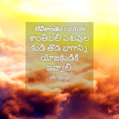 Picture 04 - లేవీకాండం 7:32 TELIRV - శాంతిబలి పశువుల - Bible Verse Picture