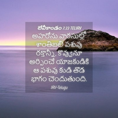 Picture 04 - లేవీకాండం 7:33 TELIRV - అహరోను వారసుల్లో - Bible Verse Picture