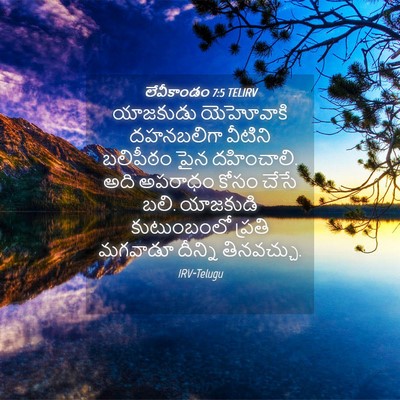 Picture 04 - లేవీకాండం 7:5 TELIRV - యాజకుడు యెహోవాకి - Bible Verse Picture