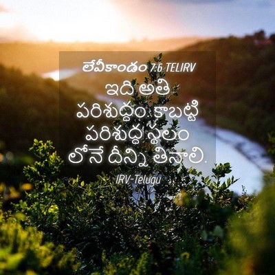 Picture 04 - లేవీకాండం 7:6 TELIRV - ఇది అతి పరిశుద్ధం. - Bible Verse Picture
