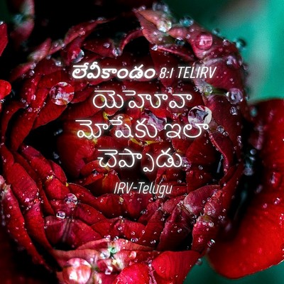 Picture 04 - లేవీకాండం 8:1 TELIRV - యెహోవా మోషేకు ఇలా - Bible Verse Picture